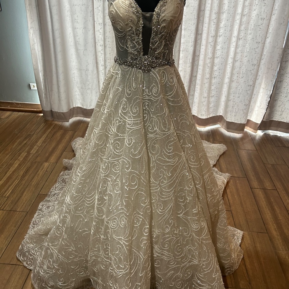 Amalia Carerra Bridal Gown Size 14 - Picture 2 of 16